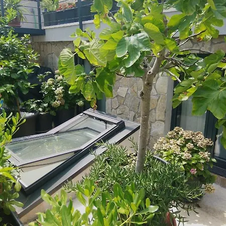 Artspace Location-opatija-3 Bedroom House With Rooftop Garden By *